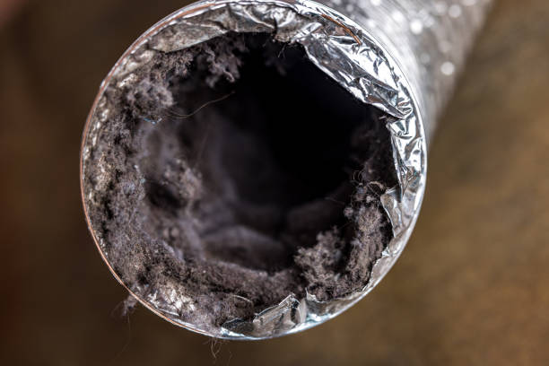 Best Air Duct Cleaning Near Me  in Southmayd, TX