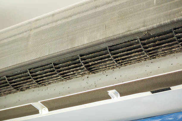 Best Residential Air Duct Cleaning  in Southmayd, TX